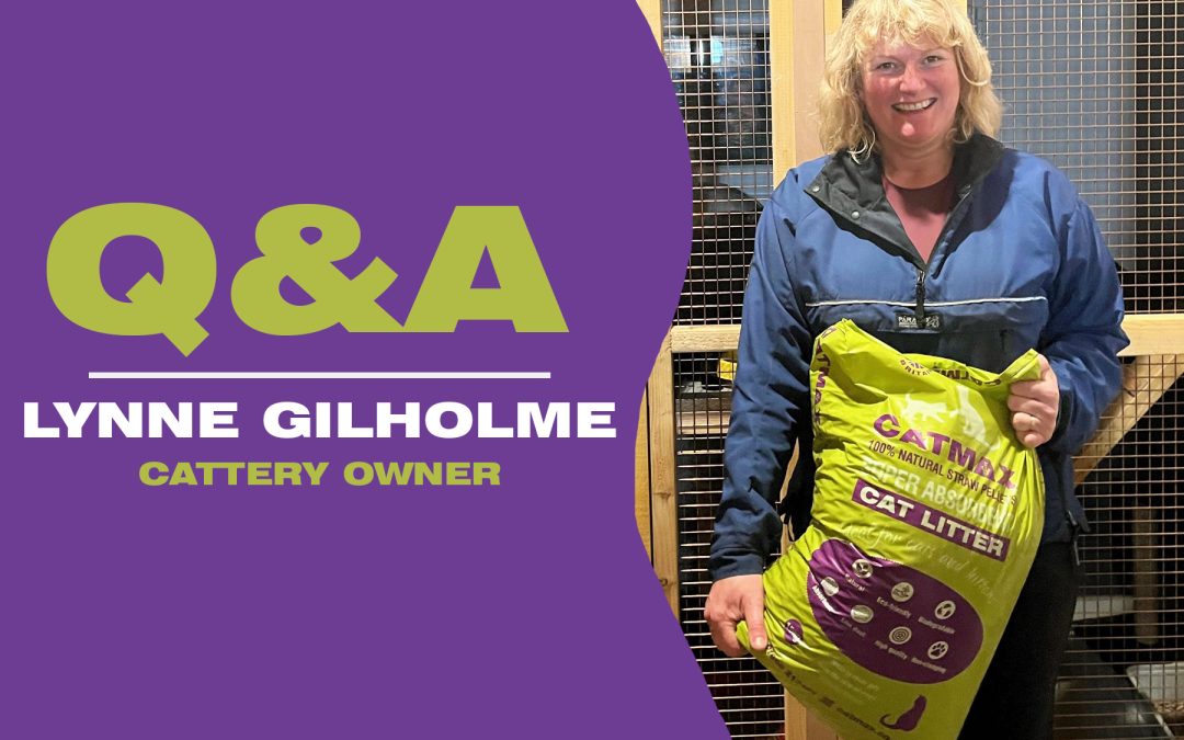 Q&A with Lynne Gilhome – Cattery and Kennel Owner