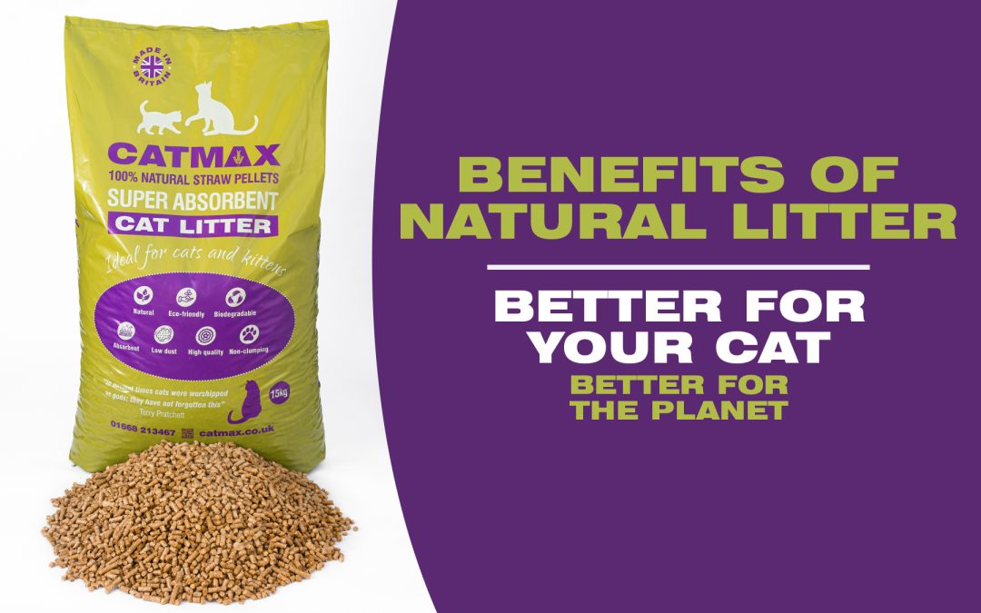 The Benefits Of Natural Cat Litter